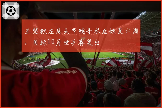 王楚钦左肩关节镜手术后恢复六周，目标10月世乒赛复出